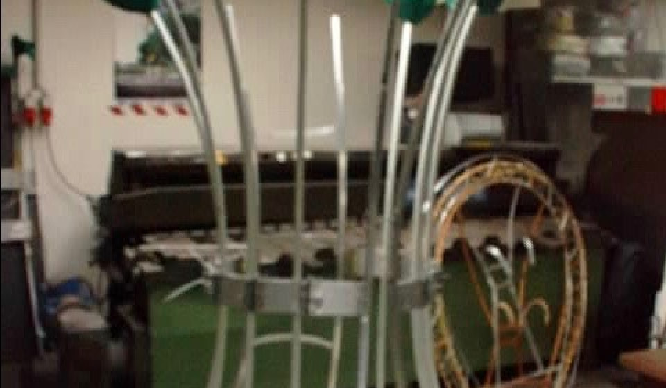 Rosenstrauss Kostüm